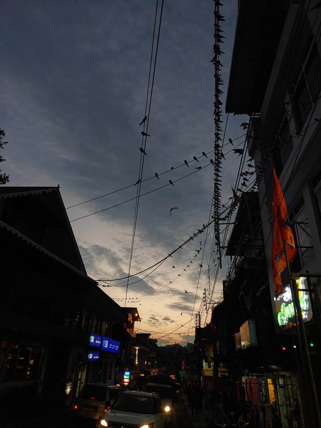 A hill street at dusk under wires full of birds