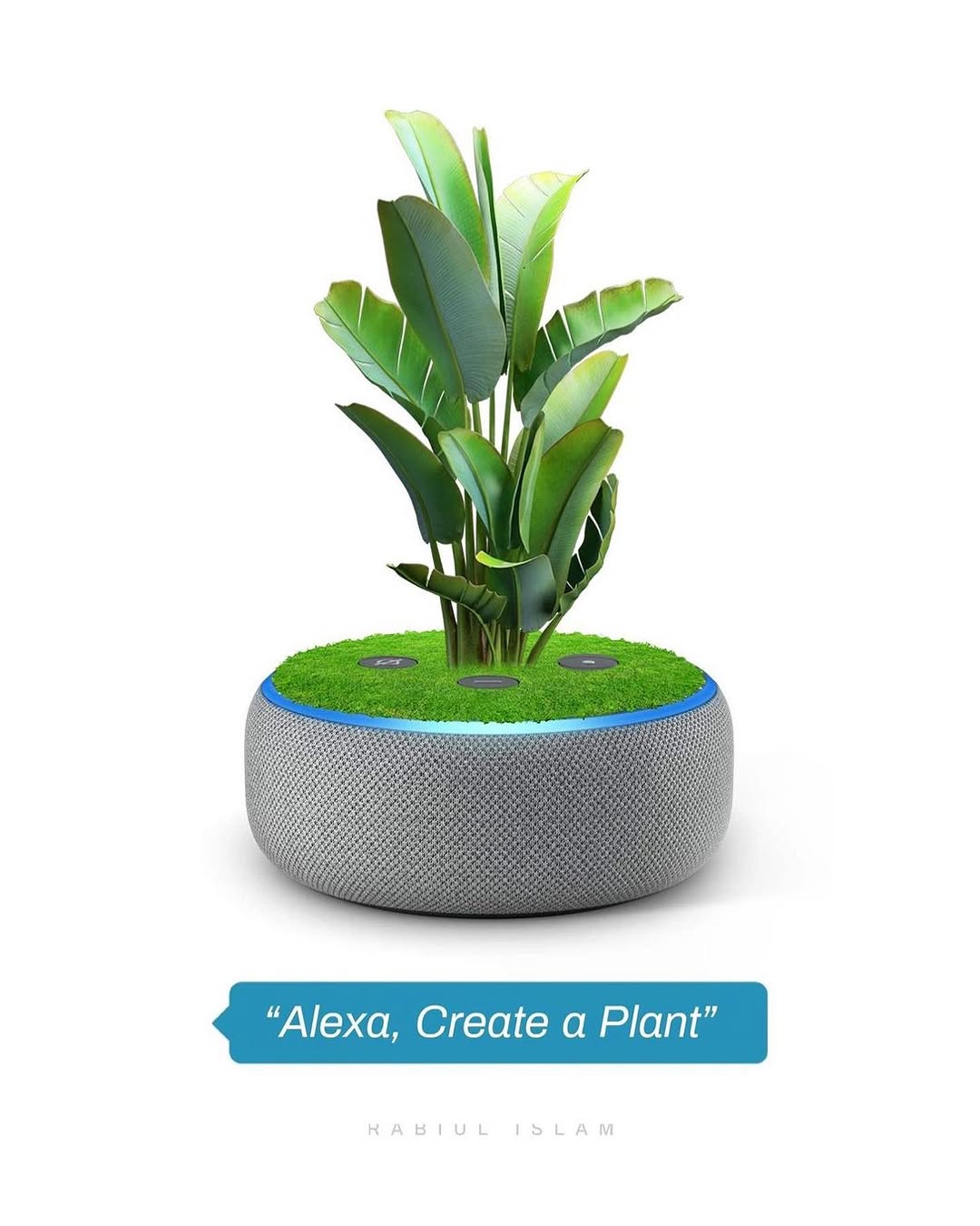A smart speaker transformed into a planter beneath the prompt Alexa, Create a Plant