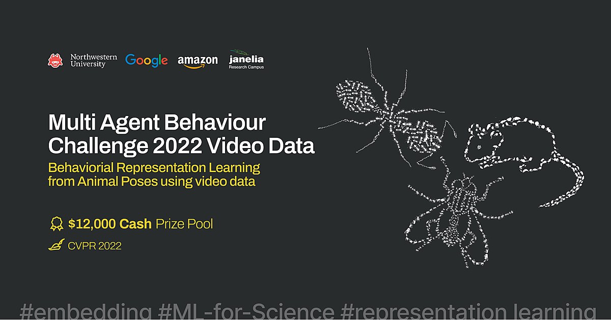 Multi-Agent Behavior Challenge 2022