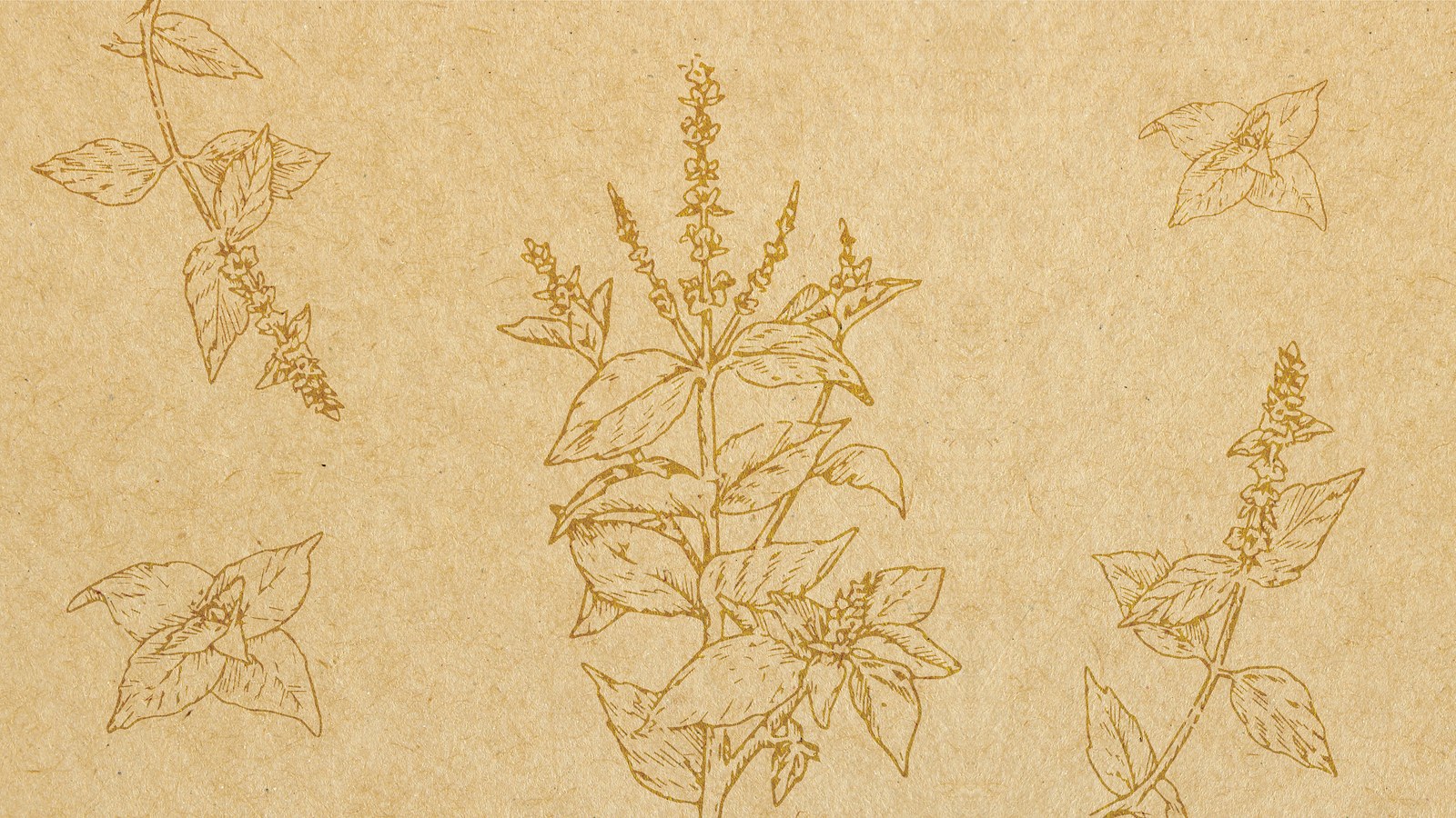 Kavish Royal Basil Drop, image 2