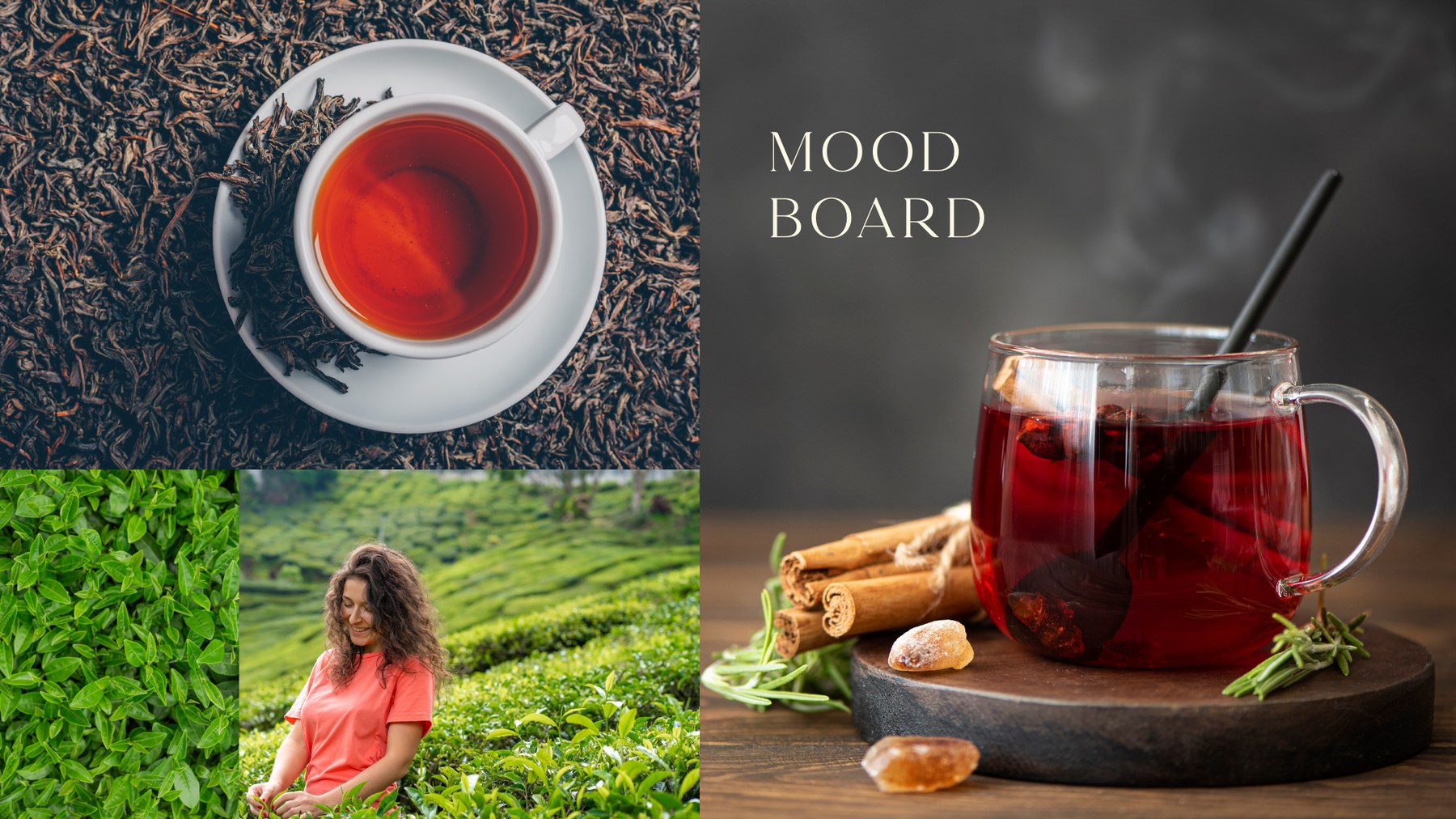 Sattva Tea brand identity, image 3