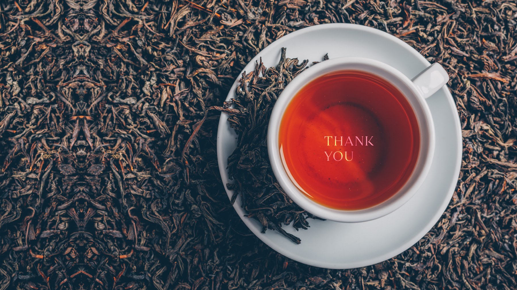 Sattva Tea brand identity, final image